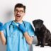 Tienda del pienso veterinario