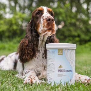 Nosotros GOLDMILK PUPPY 1kg