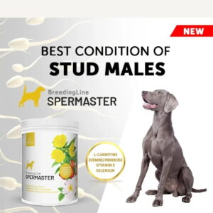 Tienda del pienso spermaster para perros