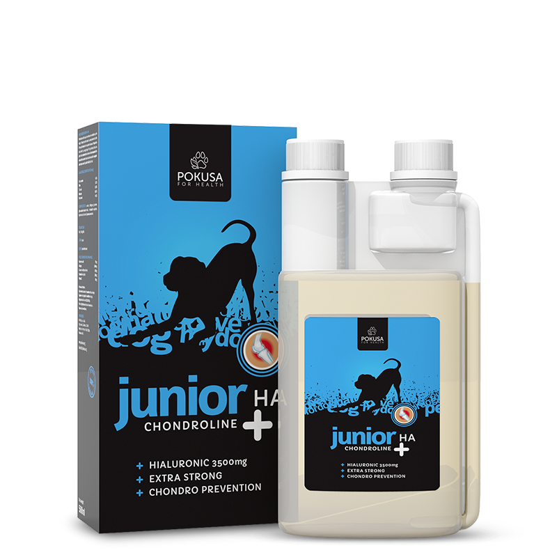 chondroline-juniorha-pojemnosc-ml-500ml CHONDROLINE JUNIOR +HA 500ml - Imagen 1
