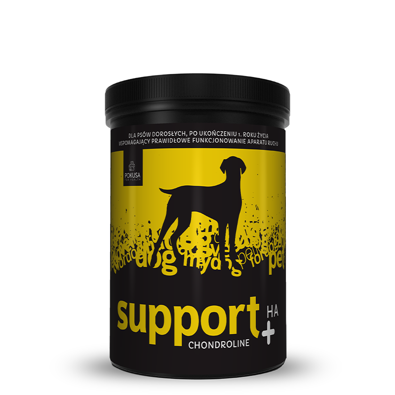 copy-of-chondroline-sport-pojemnosc-350-g CHONDROLINE Support +HA 350gr - Imagen 1